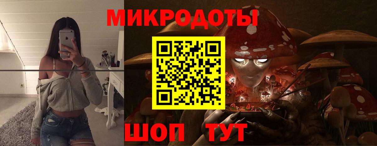 Псилоцибиновые грибы ЛСД  Вход с VPN  Лесной  Галлюциногенные грибы GOLDEN TEACHER 