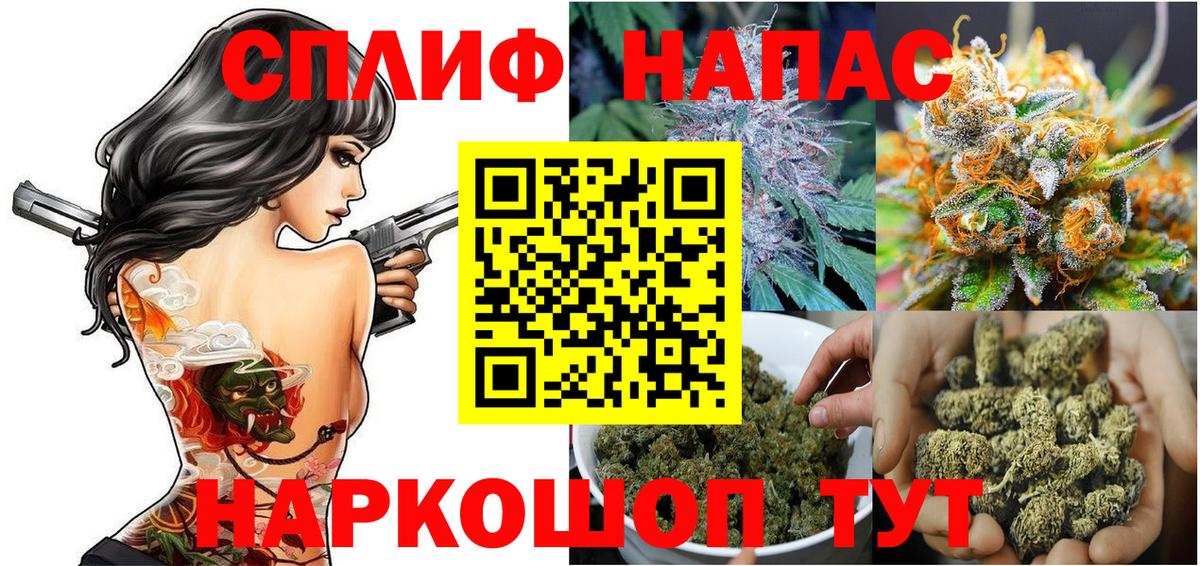 Лесной  Бошки марихуана ГИДРОПОН  Вход с VPN  МАРИХУАНА семена  Бошки марихуана семена  Бошки Шишки White Widow 